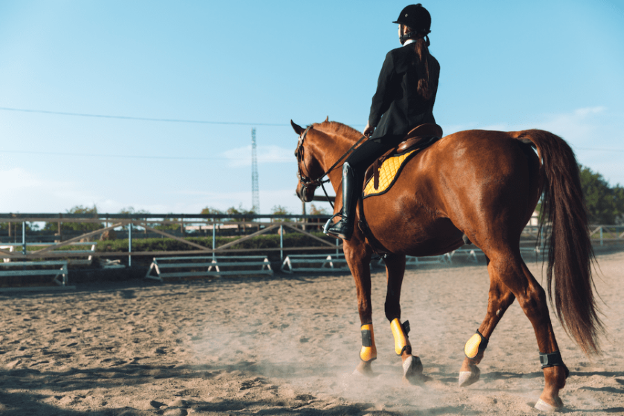 Horse Riding Experience in Istanbul