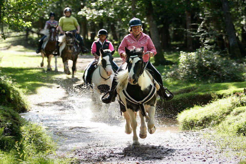 Horse Riding Experience in Istanbul