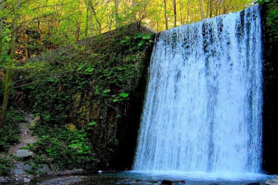 Sapanca And Masukiye Tour