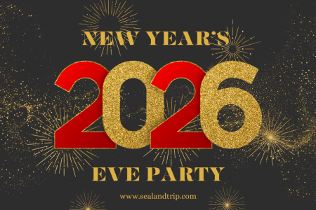 BOSPHORUS CRUİSE NEW YEARS EVE PARTY 2026