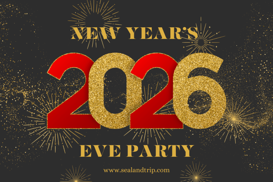 BOSPHORUS CRUİSE NEW YEARS EVE PARTY 2026