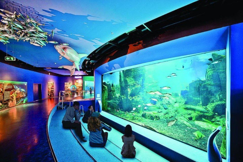 Istanbul Aquarium Ticket With Shuttle