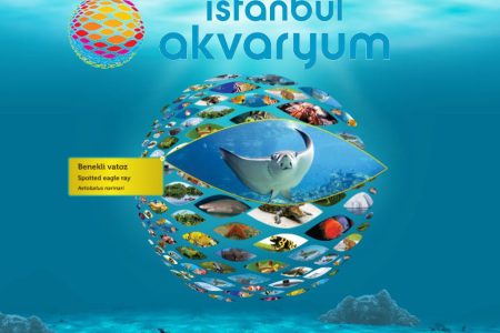 Istanbul Aquarium Ticket With Shuttle