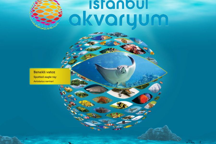 Istanbul Aquarium Ticket With Shuttle